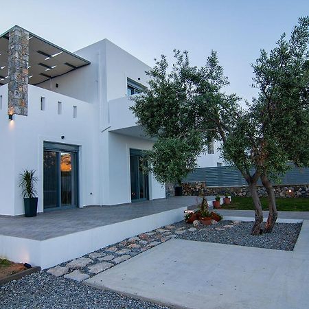 Livis Luxury Villa Kiotari Extérieur photo